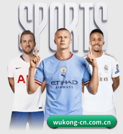 平台简介 - 体育资讯内容服务